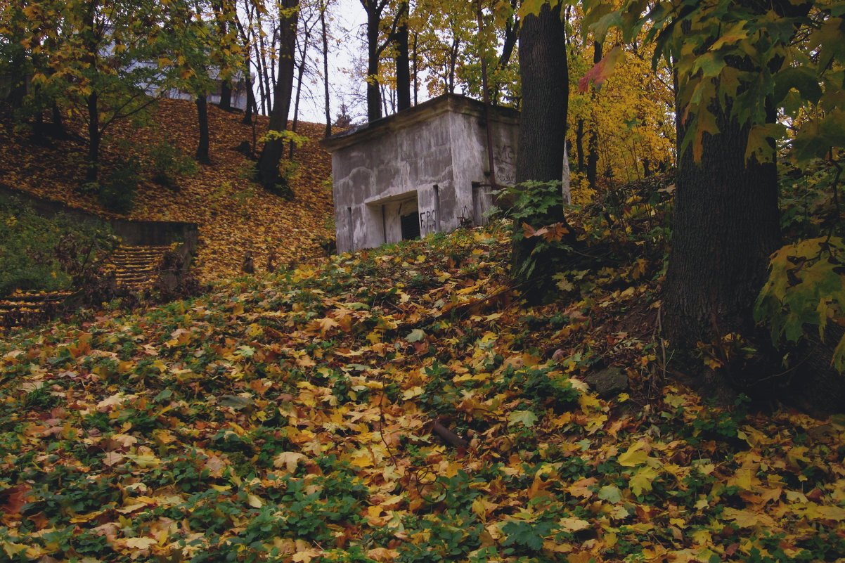Осень - Павел Зюзин