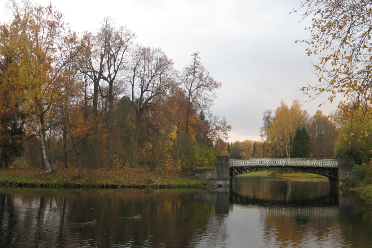 Осенний Павловск. - Лариса (Phinikia) Двойникова