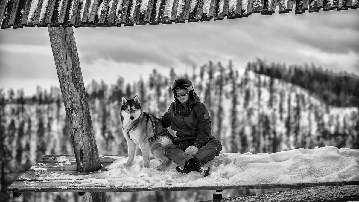 Winter in the mountains - Dmitry Ozersky