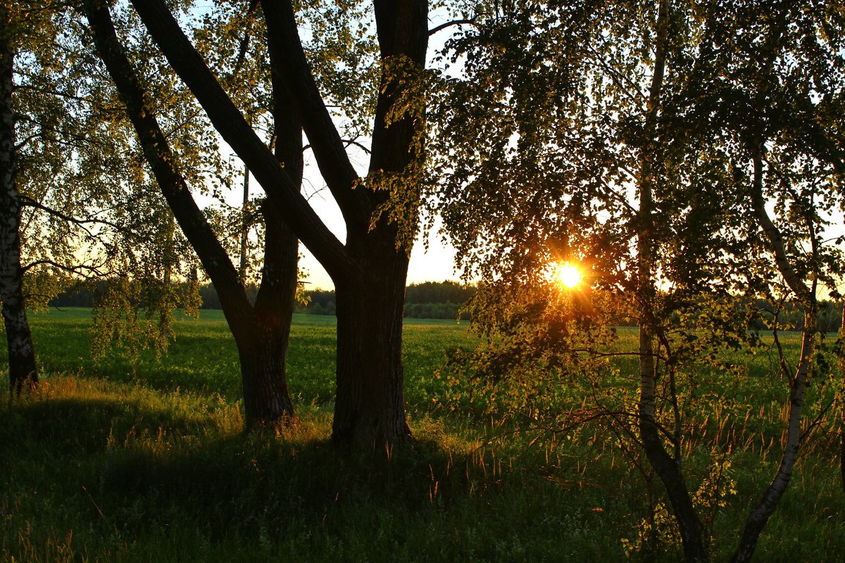 закатное - оксана 