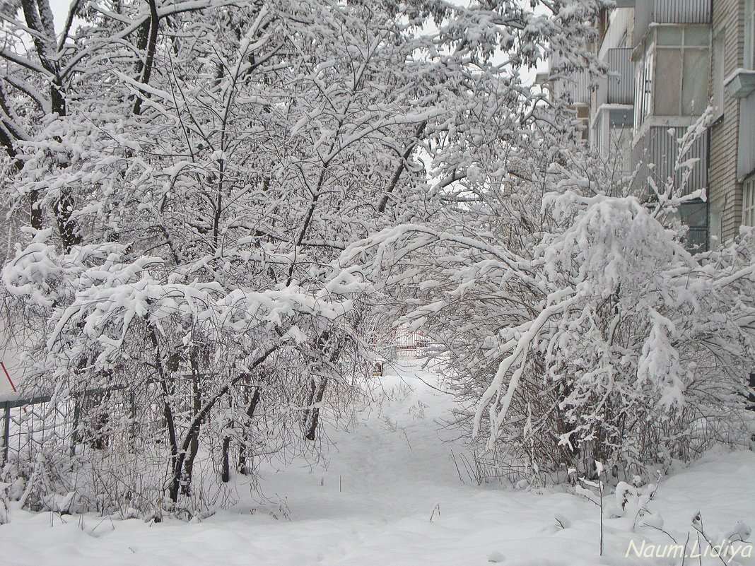 Снежно и вьюжит - Лидия (naum.lidiya)