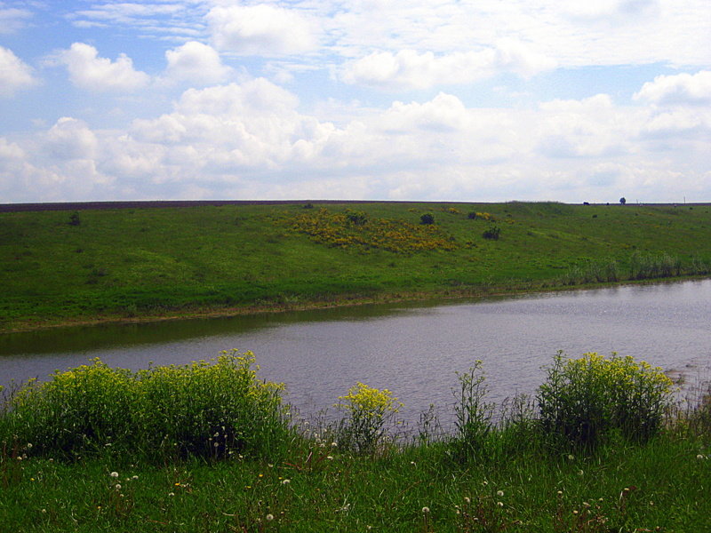 Летний пейзаж с прудом. - оля san-alondra