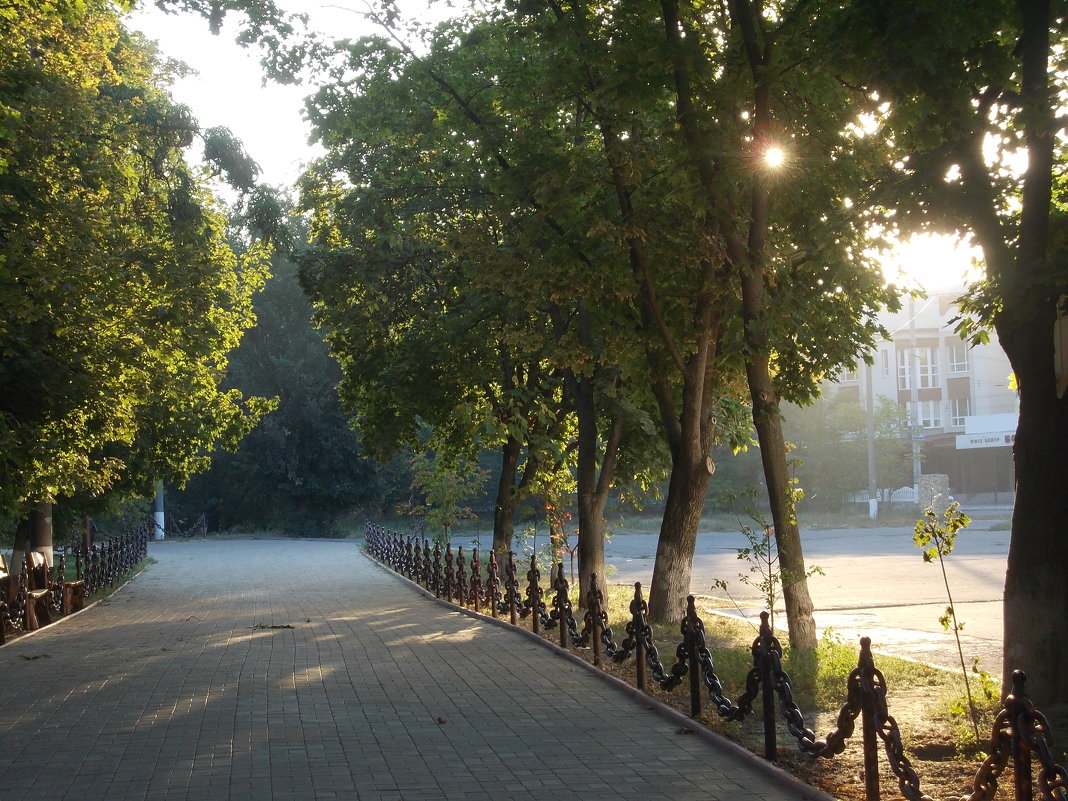 Утро в парке - Наталья Гринченко