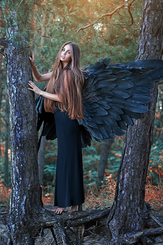 Angel girl - Сергей 