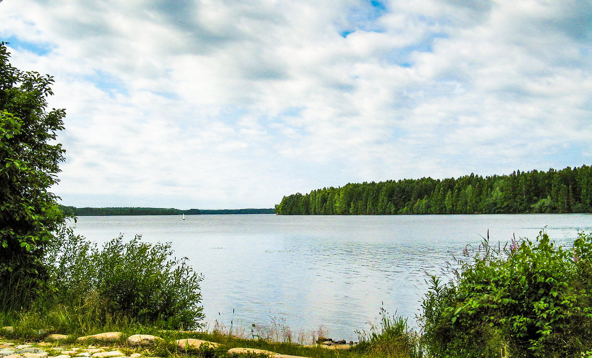 Река Свирь - Владимир Безбородов