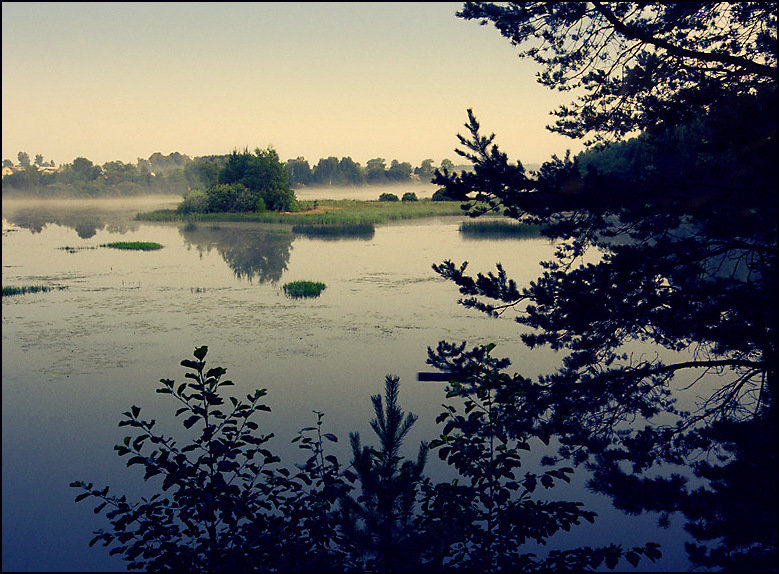 Раннее утро на реке Кубань - Максим Кирютин