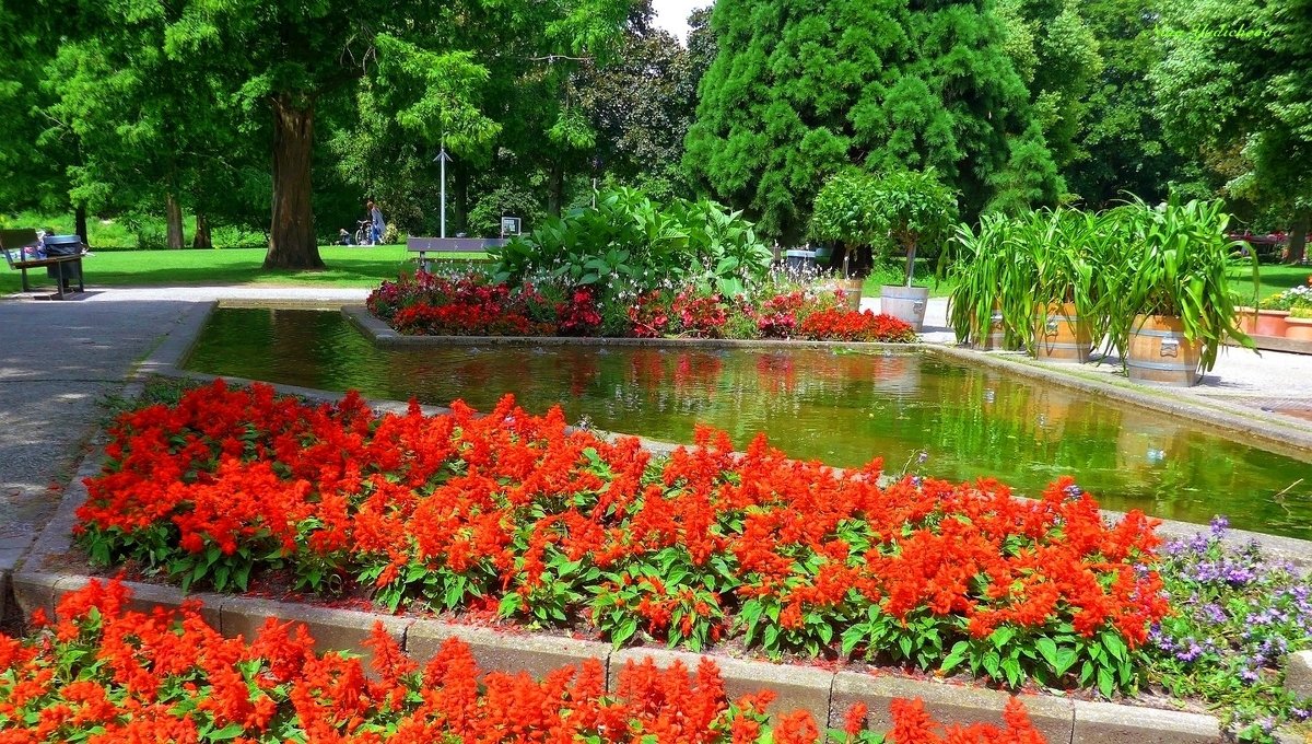 Planten un Blomen Hamburg - Nina Yudicheva