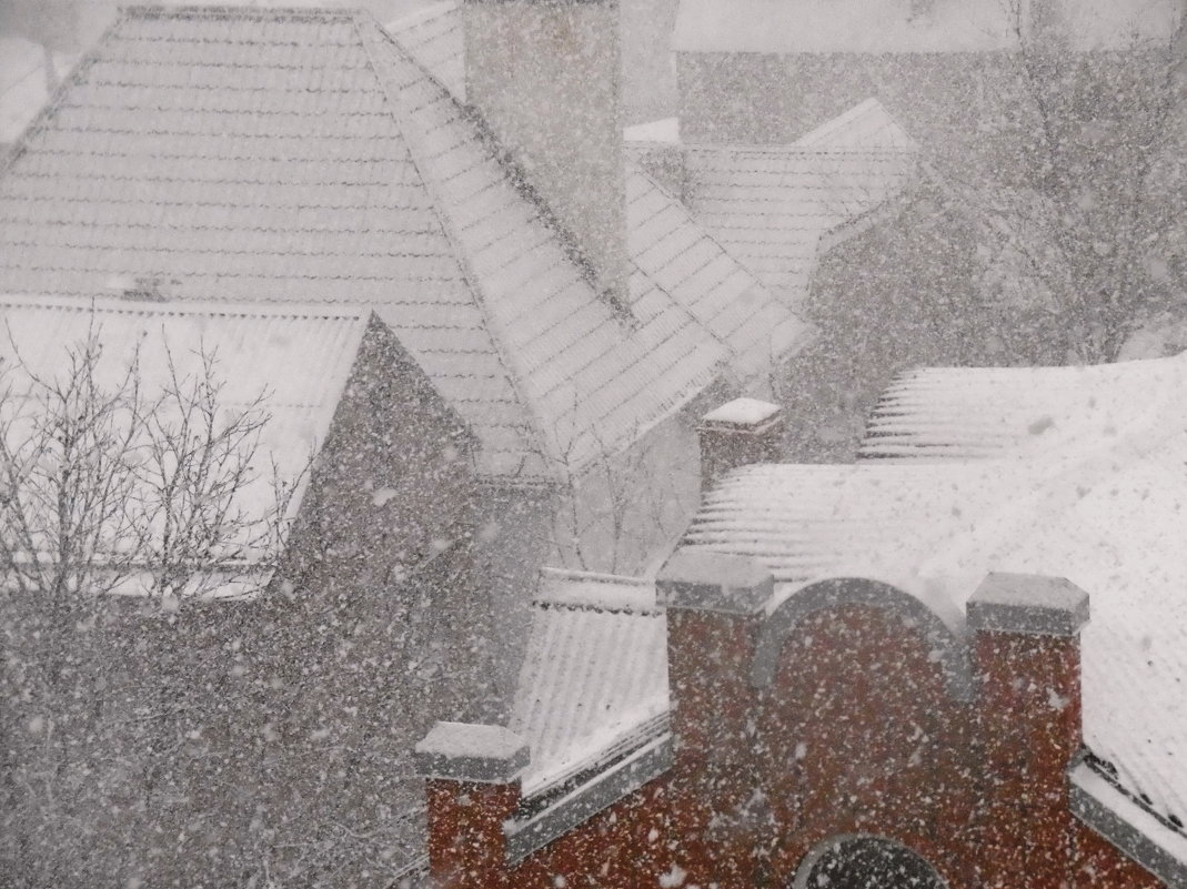 Первый сильный снег в Ростове-на-Дону - татьяна 