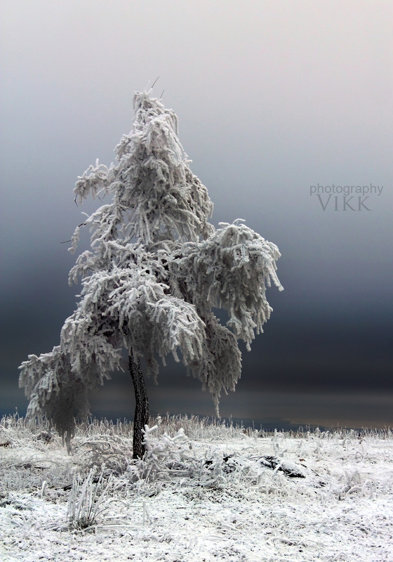 Холодное одиночество - Виктор Климов
