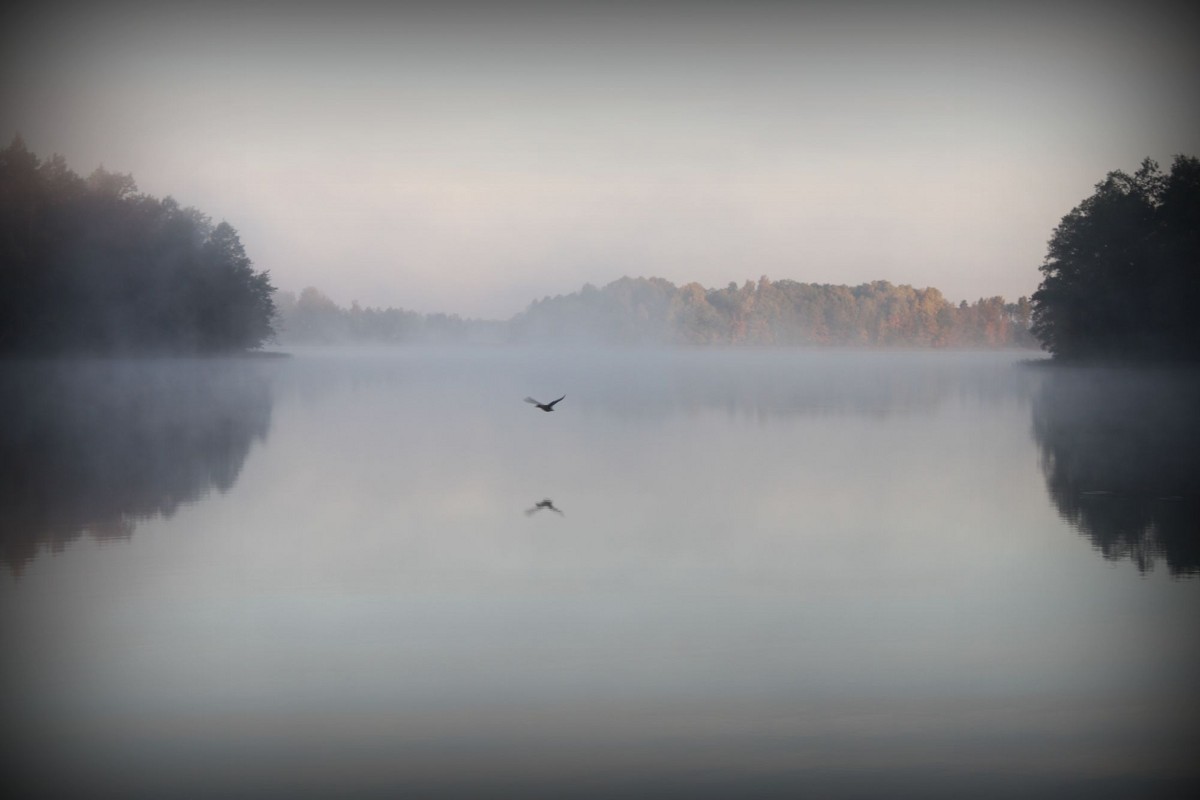 Туман на озере - Виктория Гринчук