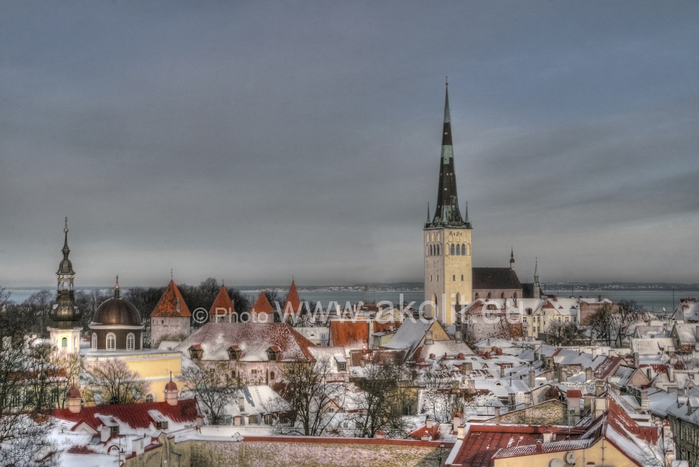 Fotostudio Akolit,Tallinn - Аркадий  Баранов Arkadi Baranov