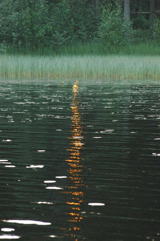 Закат на озере - Натали V