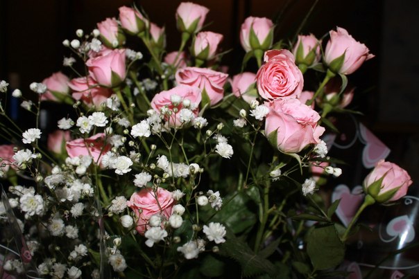 розовые розы - Мария Комарова