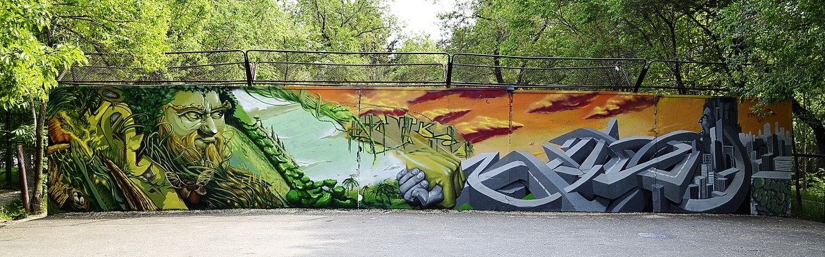 Графити. Примирение двух стихий: природа и мегаполис - Роман Fox Hound Унжакоff