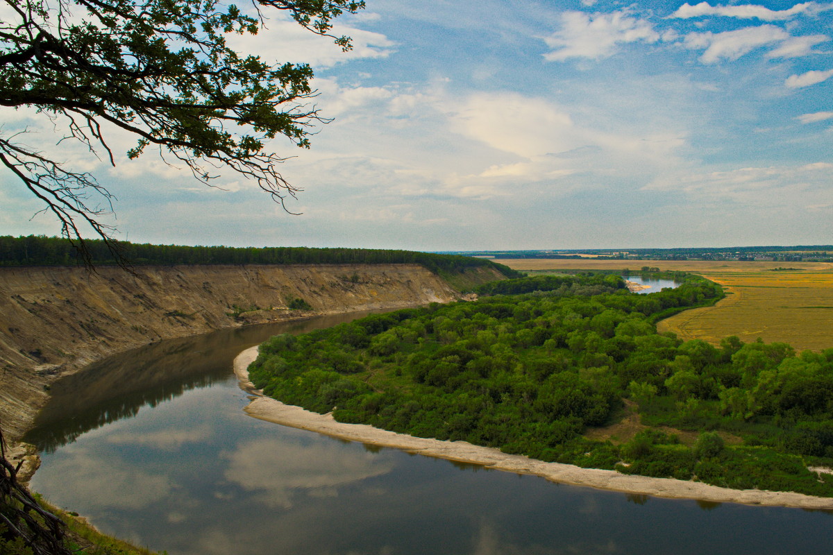 Лысая гора Кривоборье