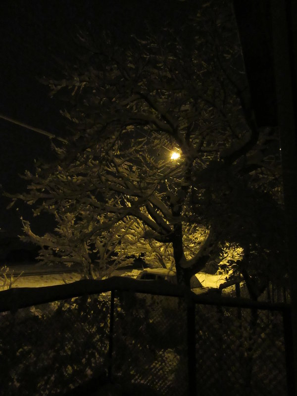 Ночь... фонарь... снег... - Вячеслав Медведев