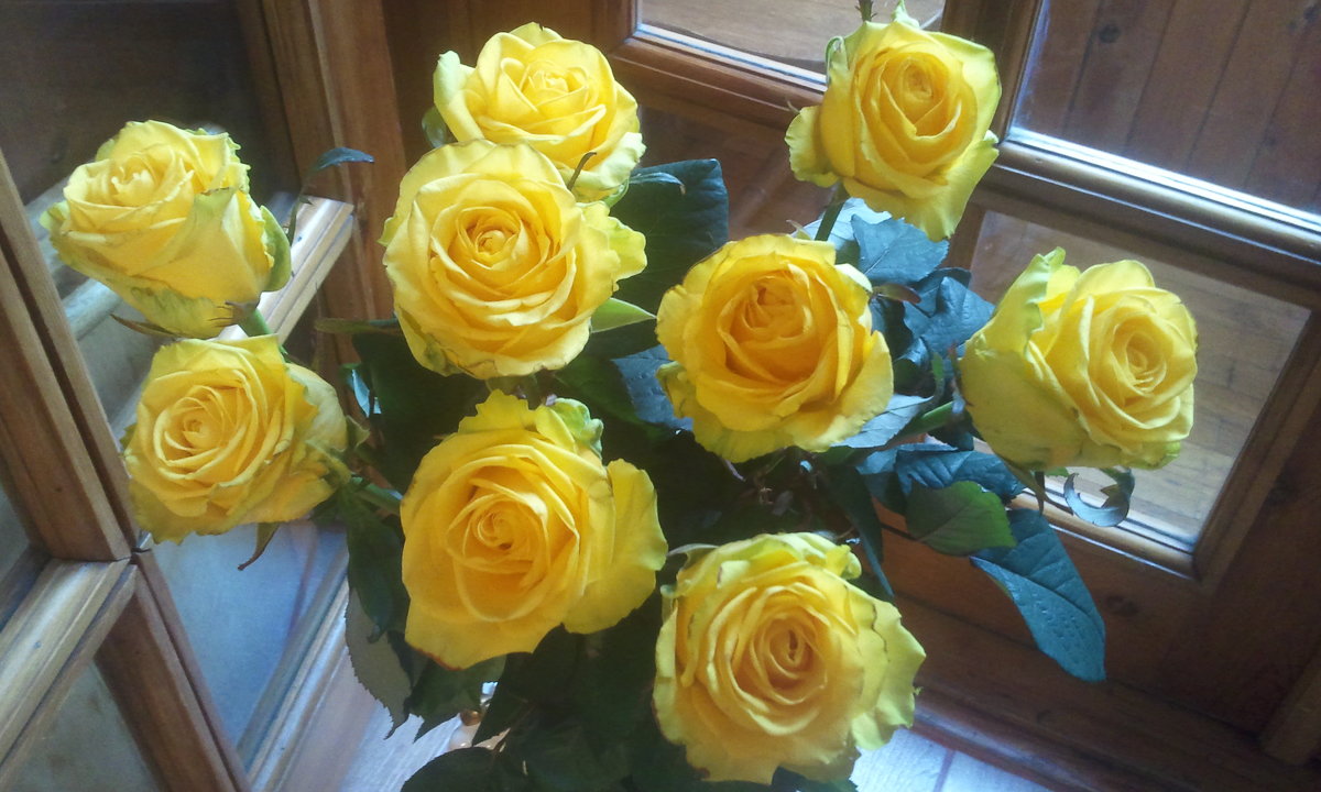 Желтые розы - марина ковшова 