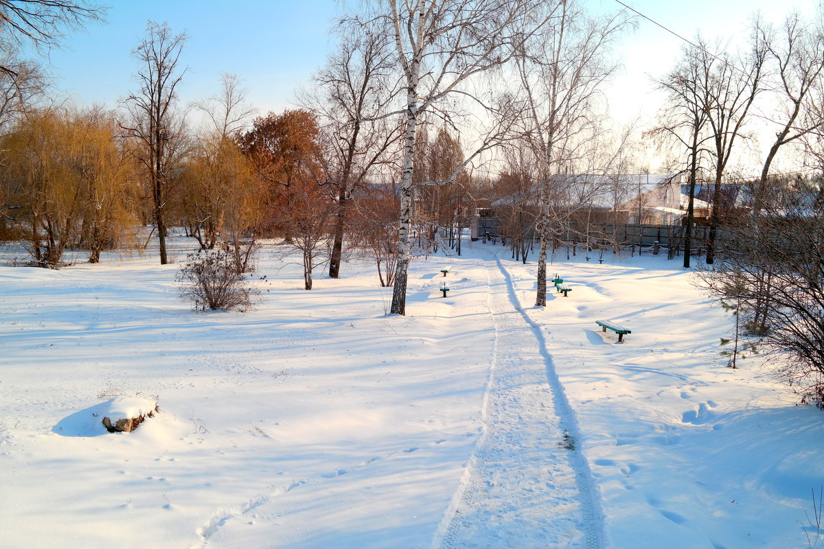 Хорошо прогуляться по зимнему парку! - Андрей Заломленков