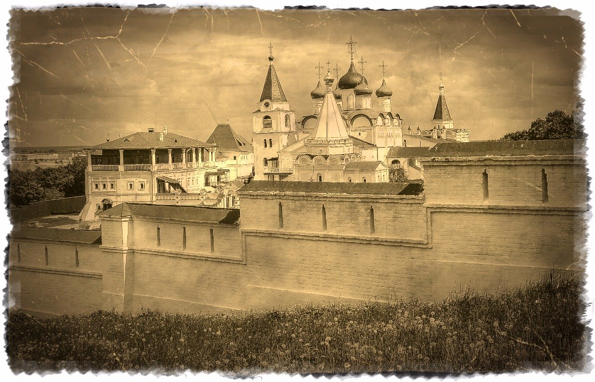 У монастырских стен - Андрей Головкин