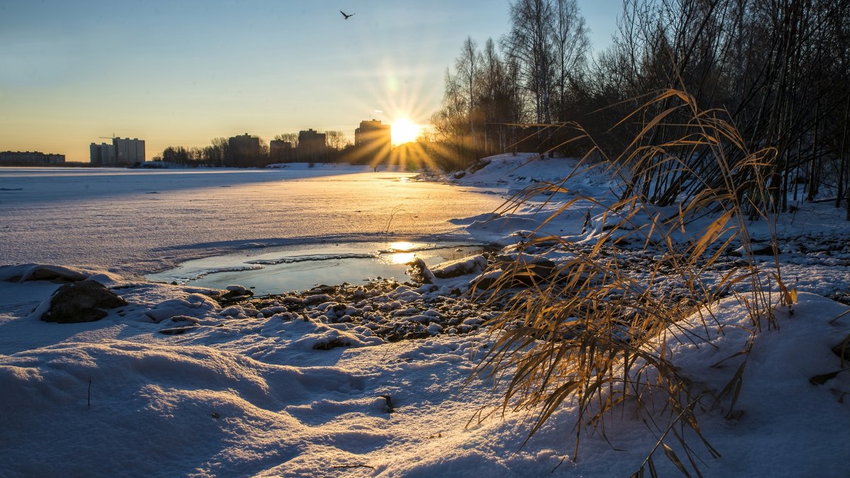 cold morning - Dmitry Ozersky