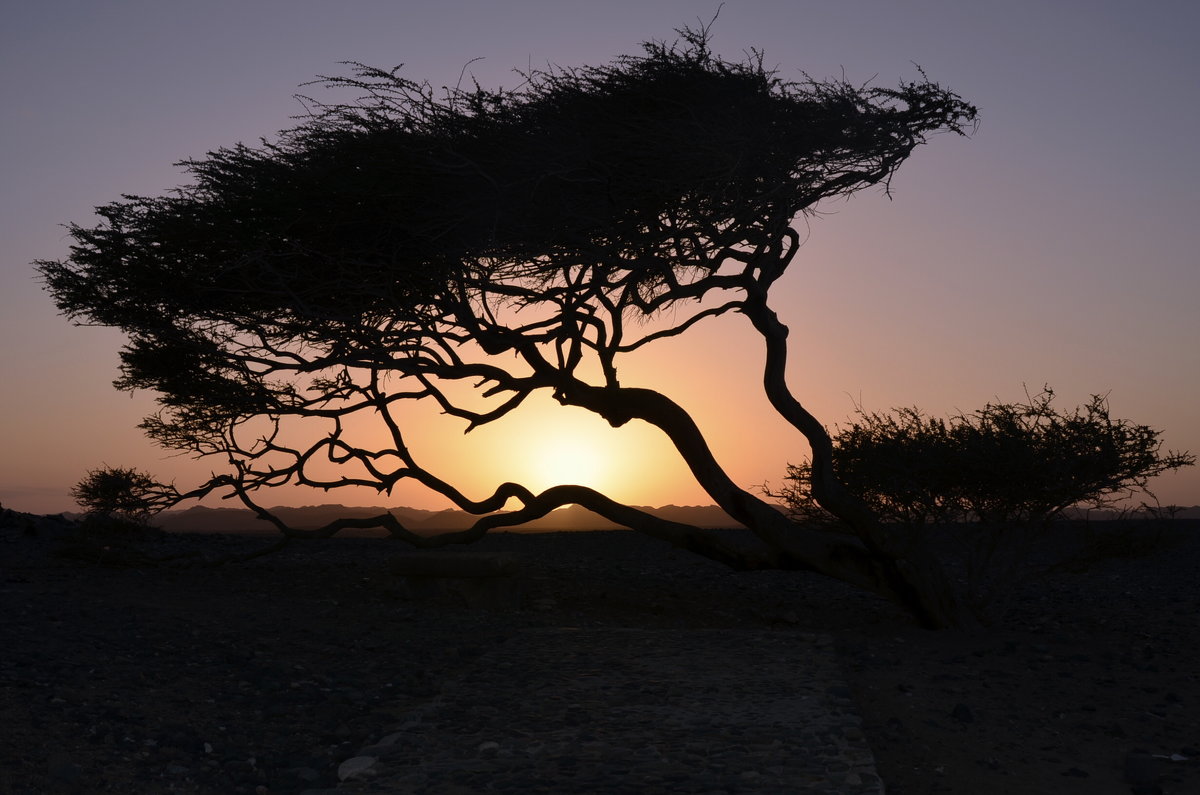 Закат на горе Вади Эль Джимал... - Sergey Gordoff