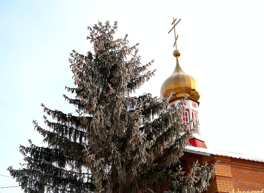 В ожидании новогоднего чуда.. - Андрей Заломленков