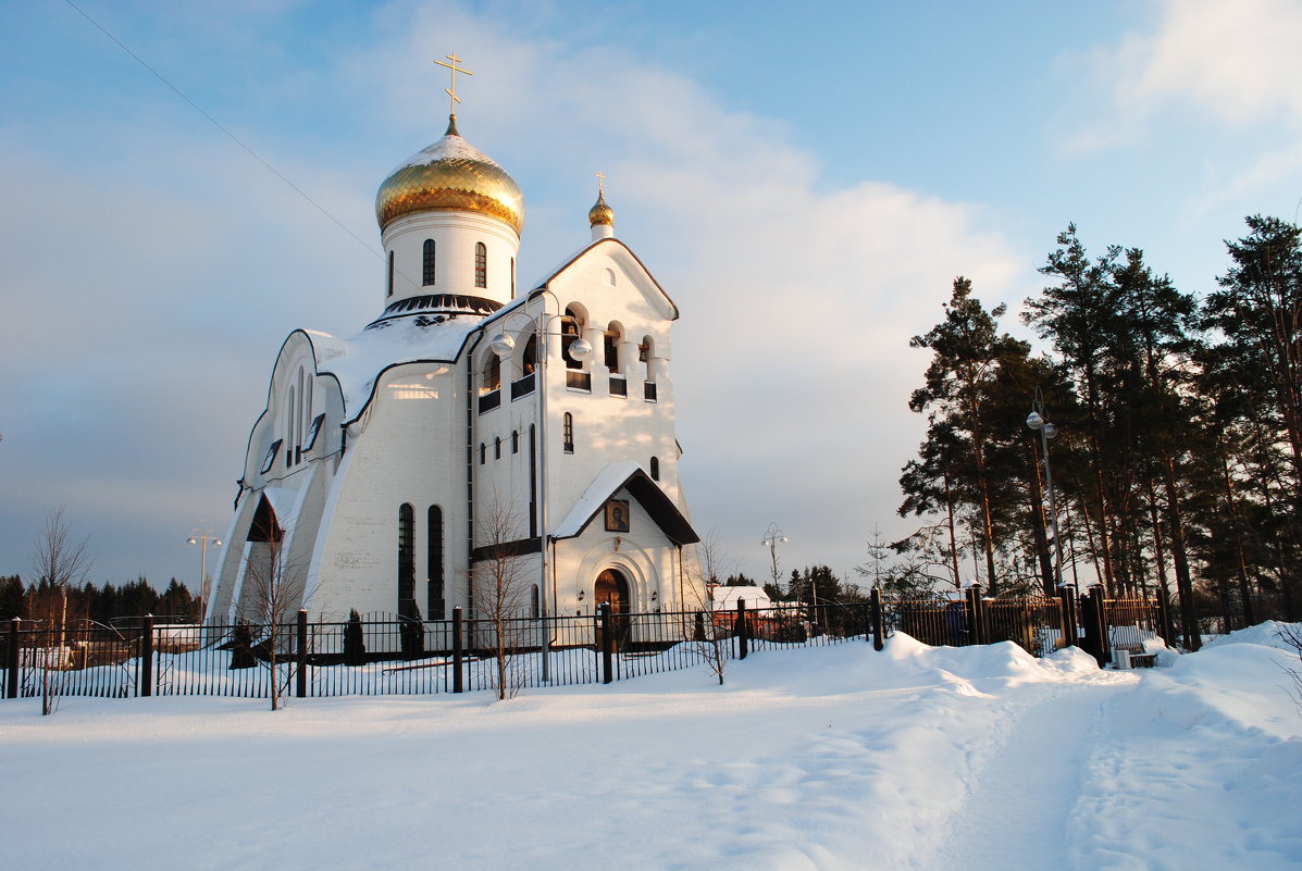 *** - Виктор ЖИГУЛИН.