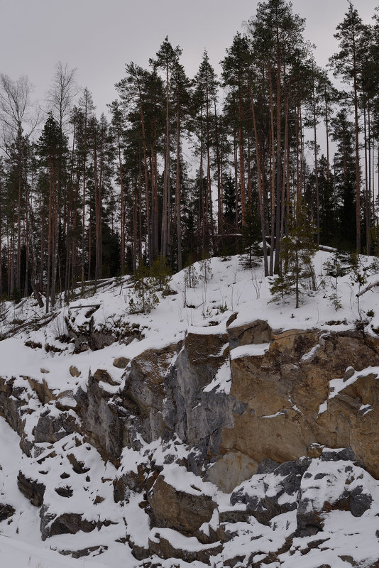 Каменногорск. - Юрий Скрипченков 