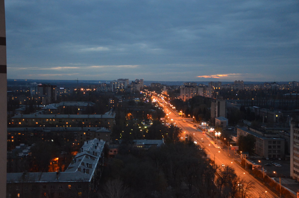 Взгляд с 21 этажа, ул. Ворошилова. - Михаил Болдырев 
