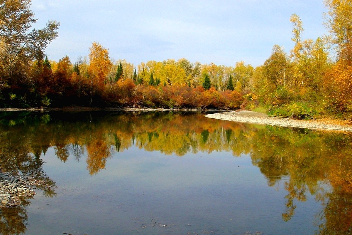 Осень отражается в  Катунской воде! - Tatiana Lesnykh Лесных