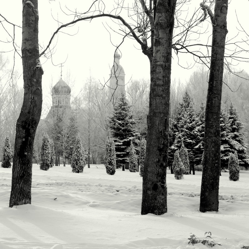 Петропавловский Храм. Пенза - Ильгам Кильдеев