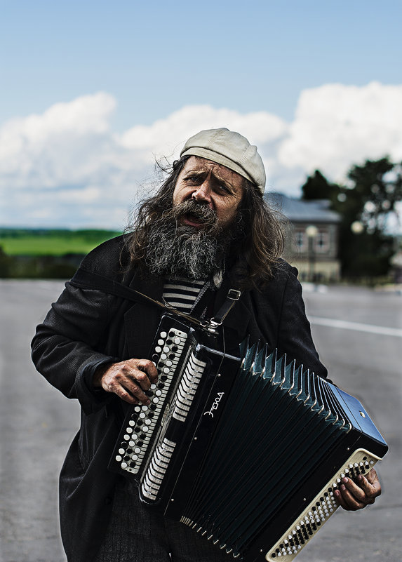 Баянист - сергей зуев