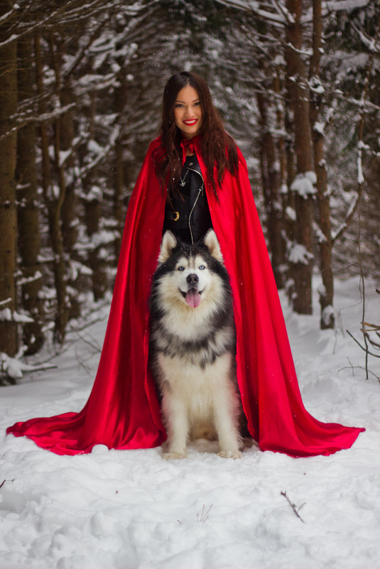 красная шапочка и добрый волк - Алина Фаизова