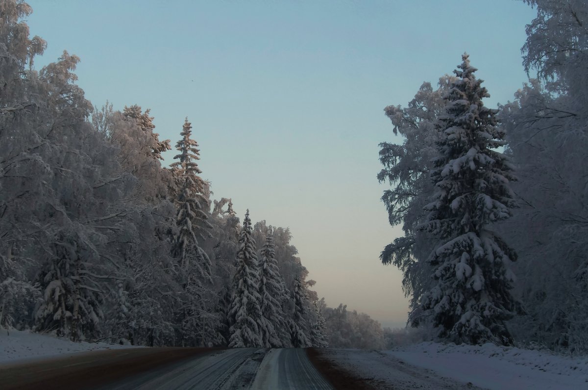 Зимний пейзаж на трассе Ижевск – Глазов - Владимир Максимов