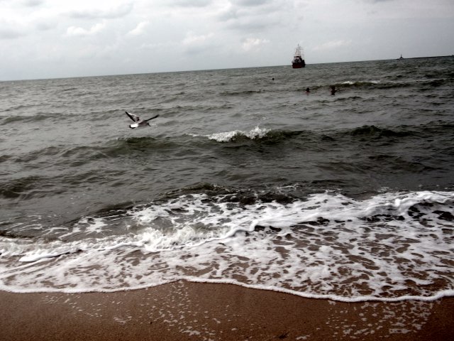 Море и ветер - Svetlana Lyaxovich