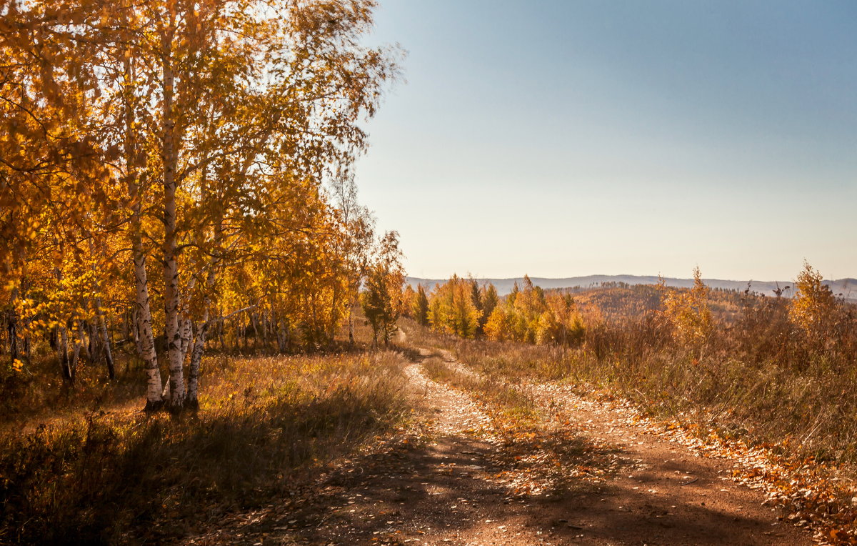 осень - Сергей Сол