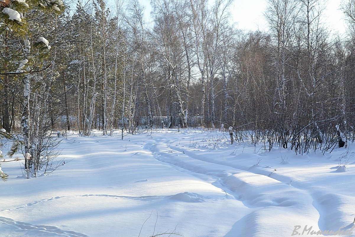 Поляна - Yasnji 