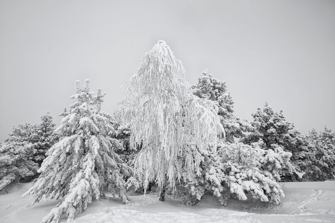 Зима на плато - Николай Ковтун