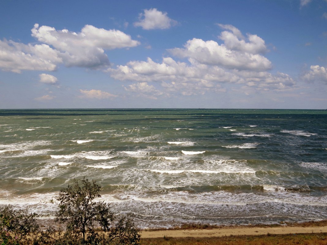 Полосатое море - Вера Щукина