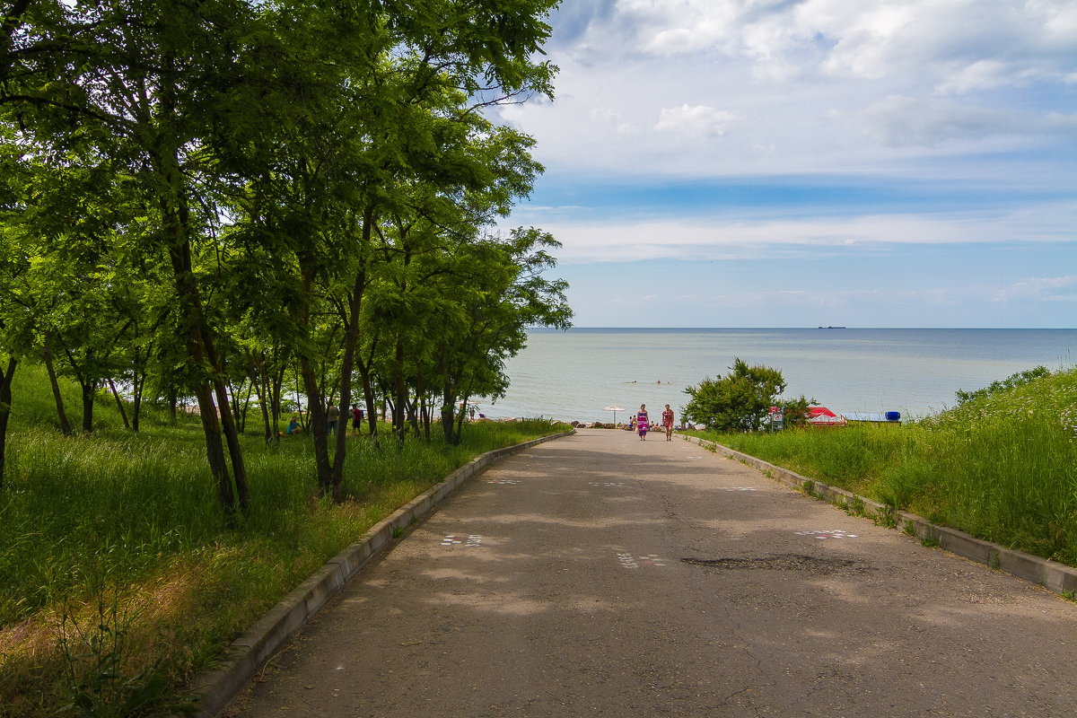 дорога к морю - Алексей Лейба