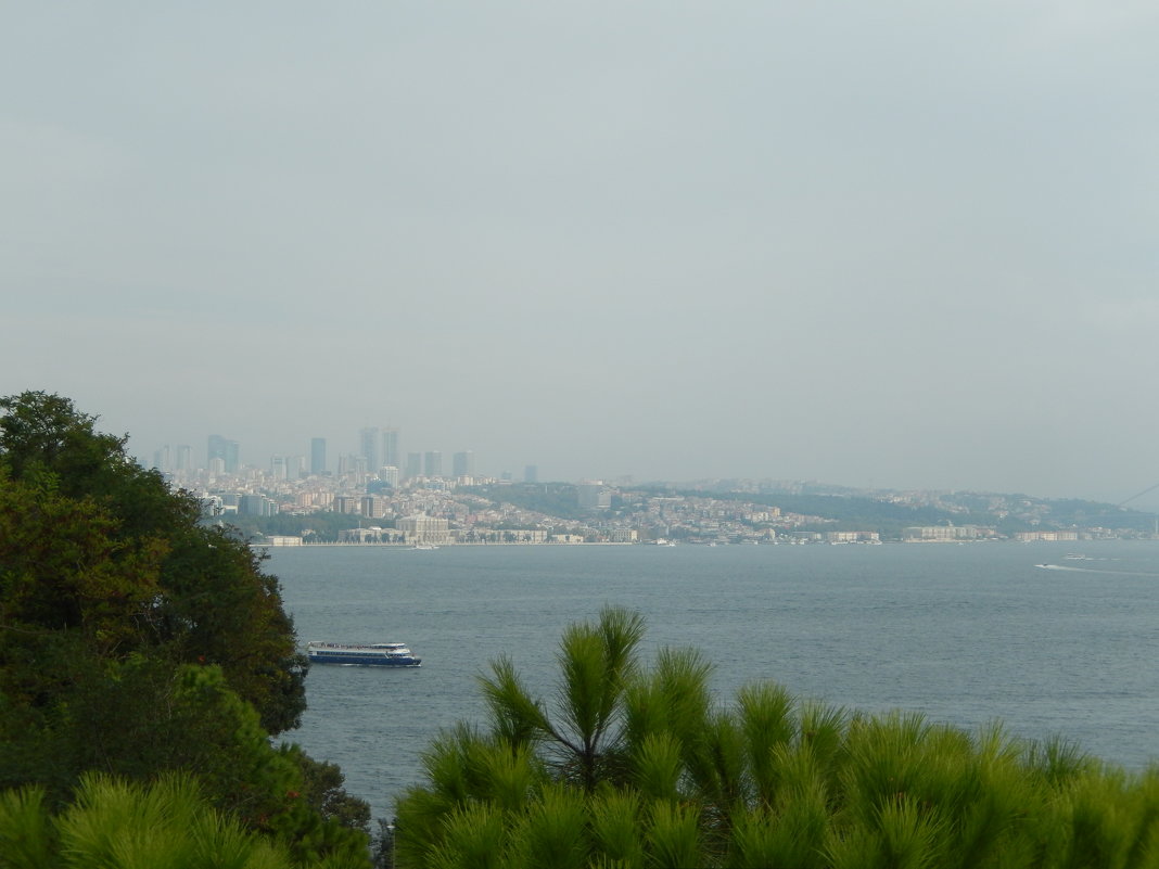 Вид на Стамбул из дворца Топкапы - Ольга Васильева