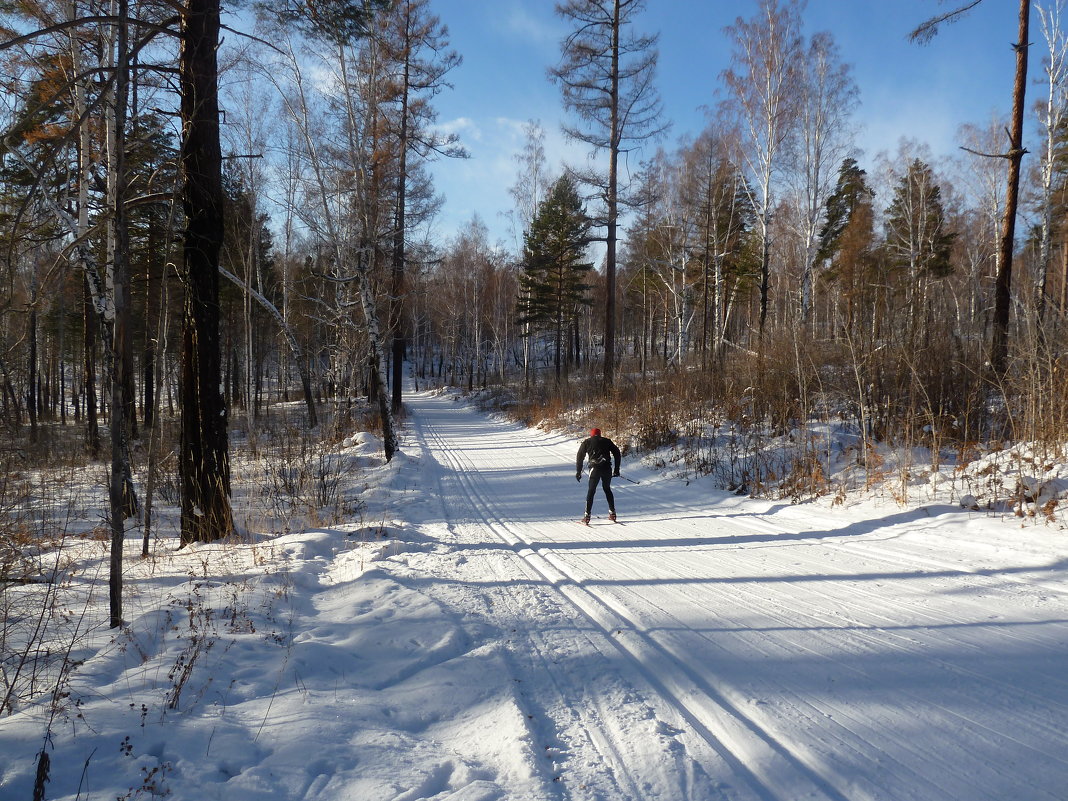 Зимой в лесу - Галина Минчук