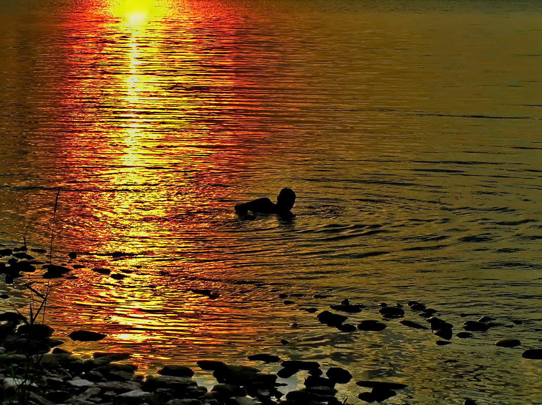 Вечернее купание в солнечном золоте Янисярви. - Владимир Ильич Батарин