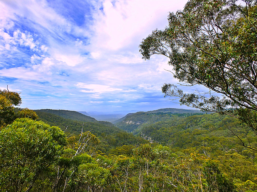 The Blue Mountains, Katoomba, NSW. 31/12/2016. - Rauf 