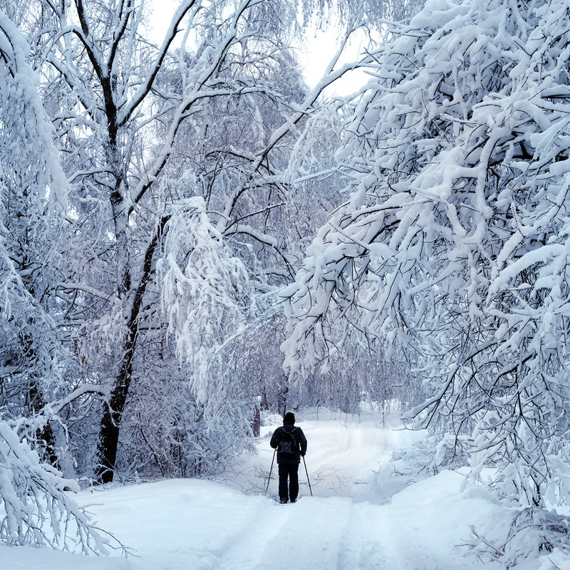 Путь в снежное царство - Николай Белавин