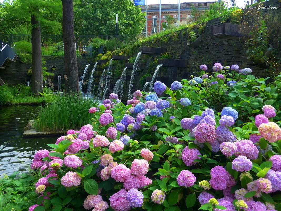 Парк цветов в Гамбурге (серия). У водопадов - Nina Yudicheva