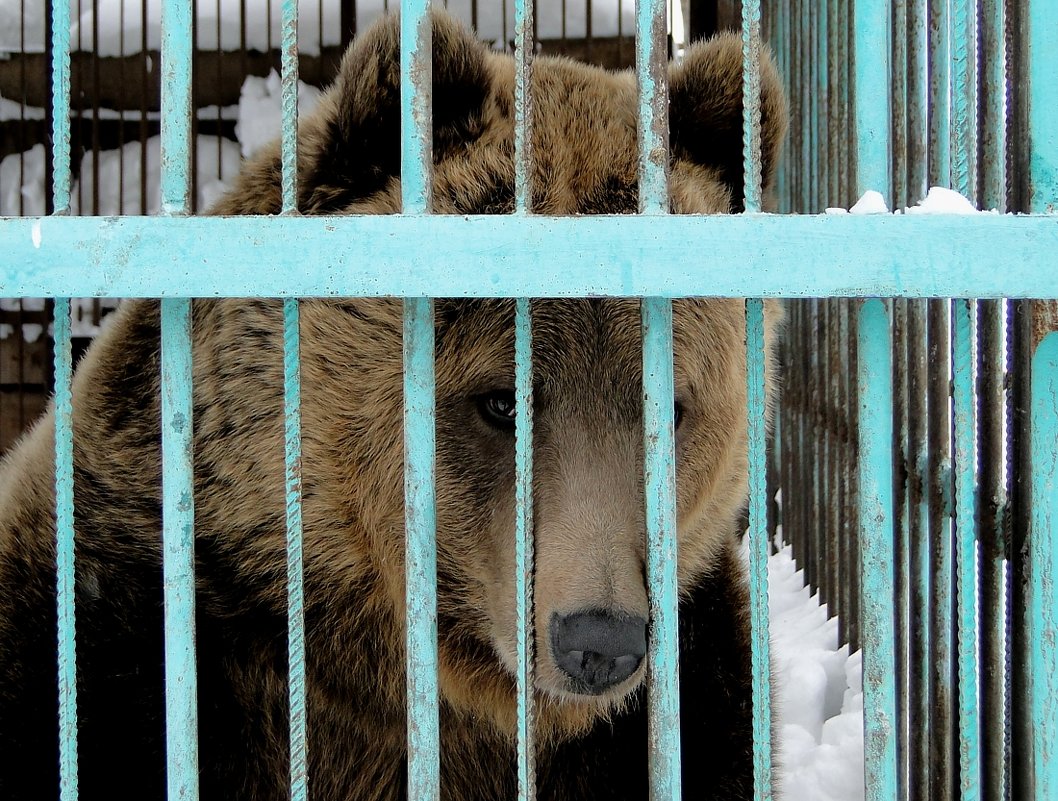 Сильный и беспомощный - Валерий Чепкасов