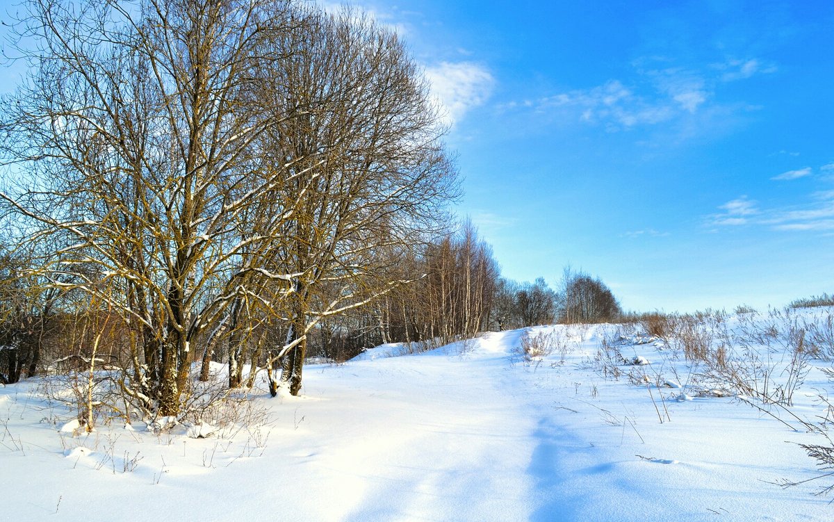 Снег и холод Рождества - Милешкин Владимир Алексеевич 