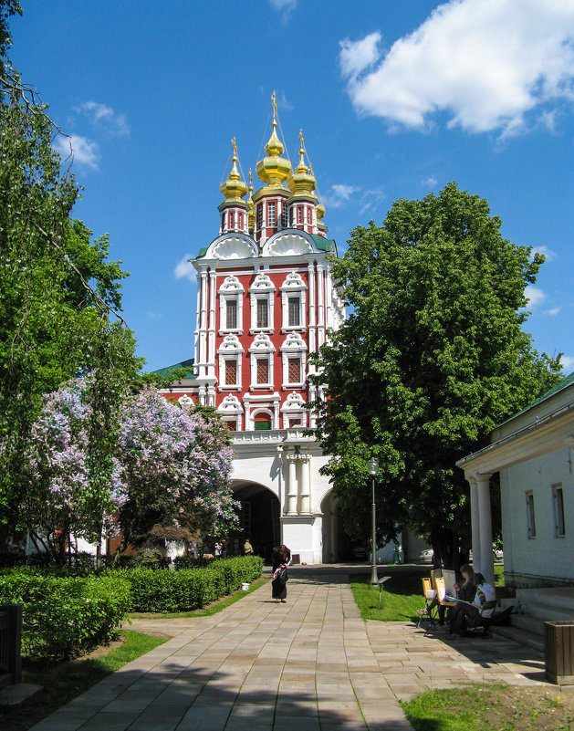 Новодевичий монастырь - Владимир Безбородов
