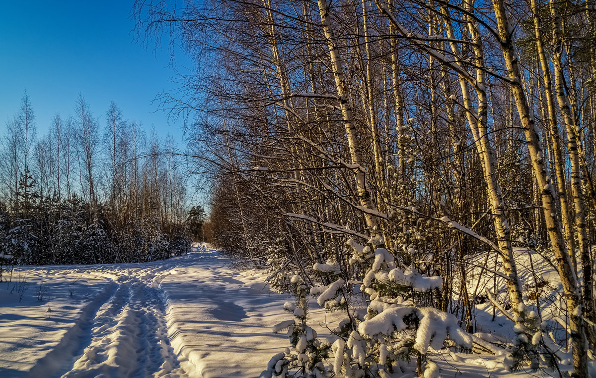 Зимние дороги - Андрей Дворников